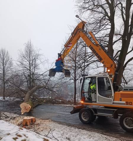 Chodník do lázní - kácení.